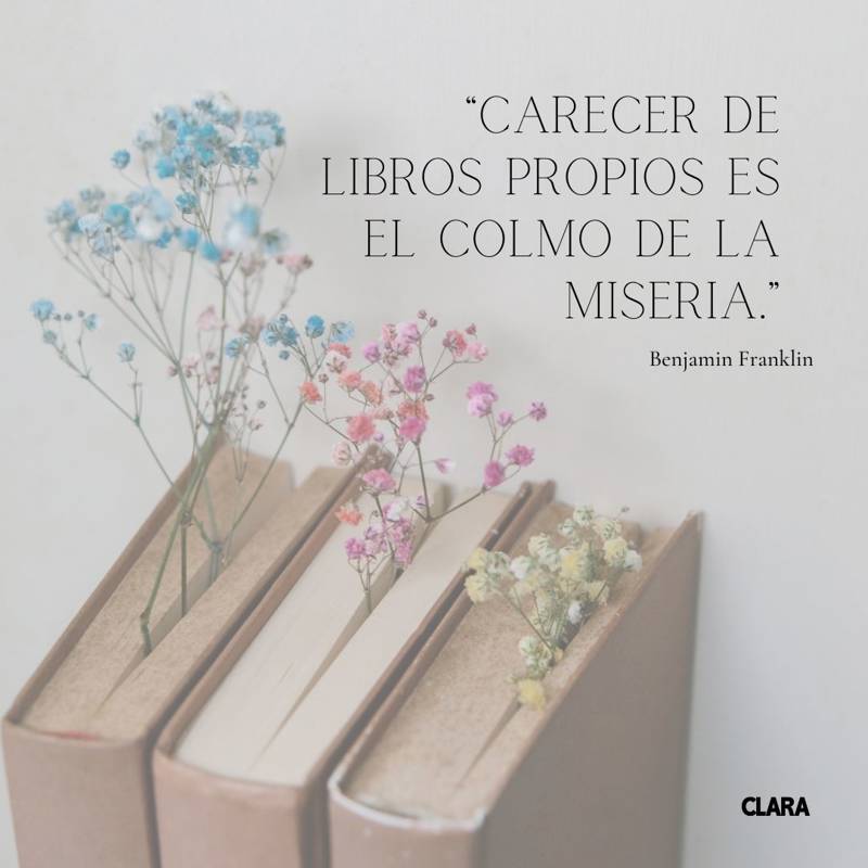 frases-dia-libro-e-ef98303f-230331140026-800x800