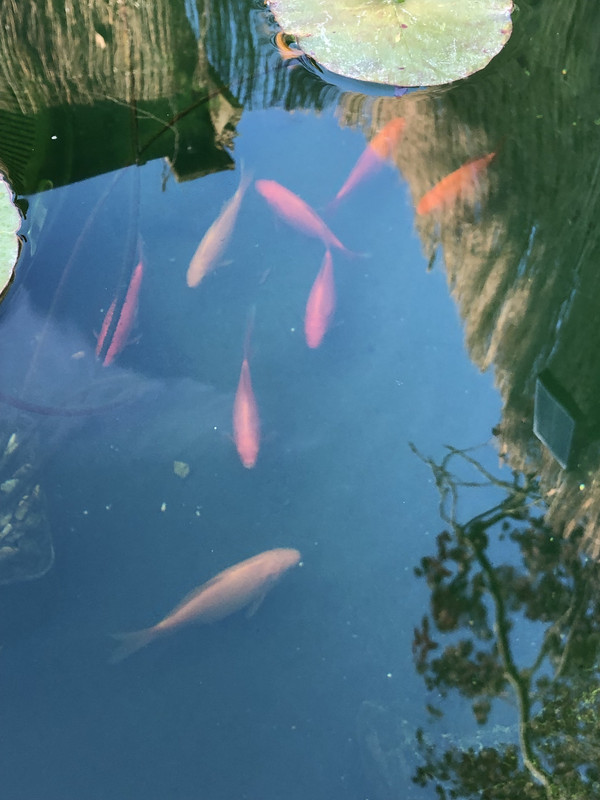 20190813_173022617_iOS