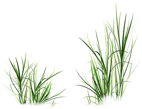 KBK_InTheSpring (35)