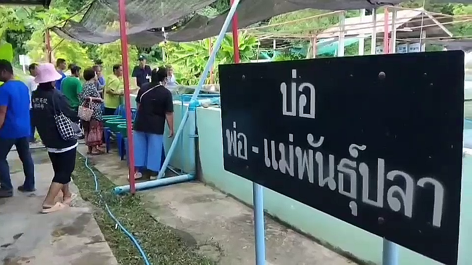 vlcsnap-2025-10-31-17h45m47s395