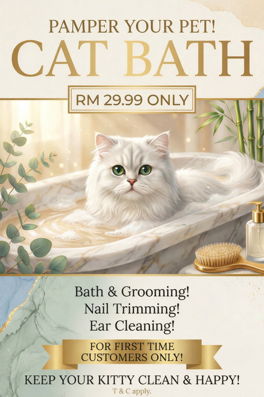 Cat Bath Offer