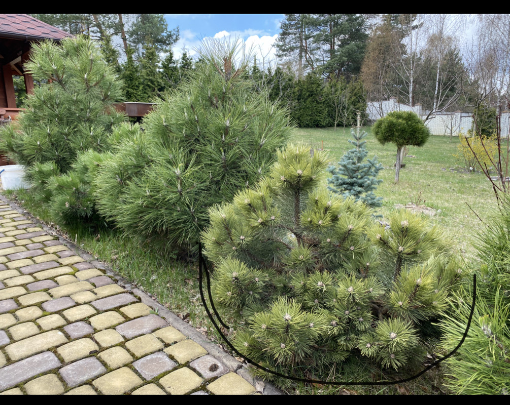 8A276123-E71B-46CC-B24D-EAEFDBF1D3A6