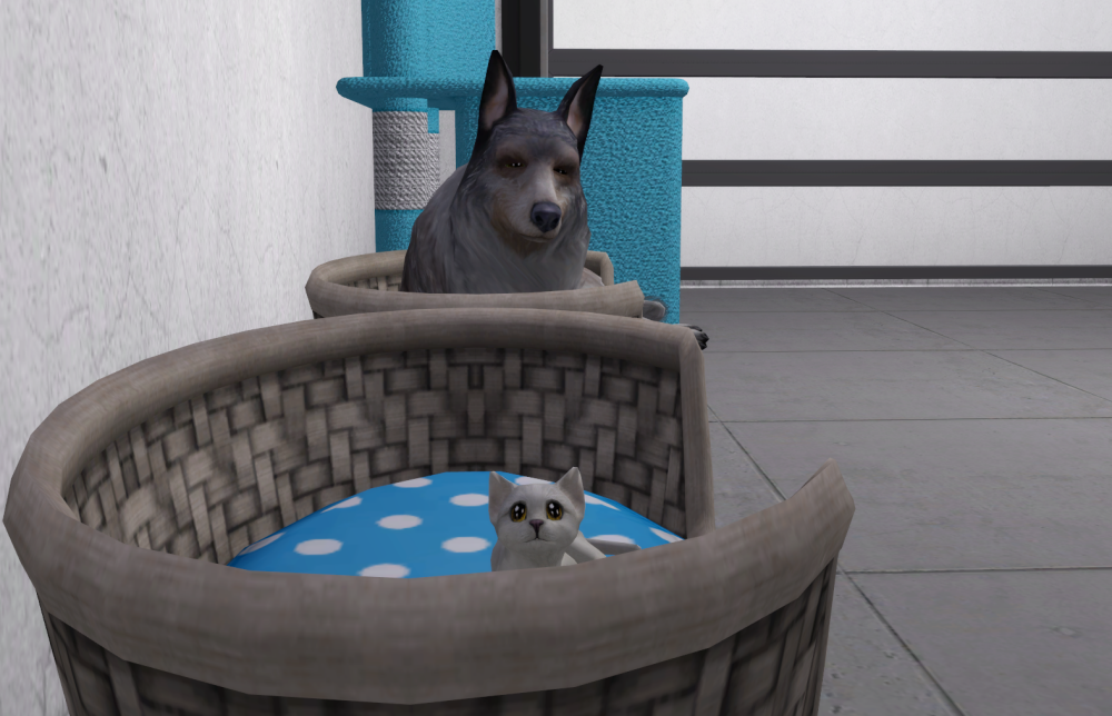 Sims2-EP9-RPC-2021-06-29-20-23-11-81