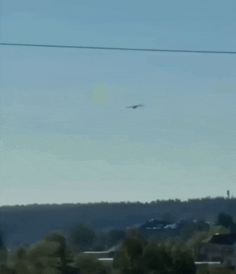 https://i.postimg.cc/02LPV4Bp/video-2026-07-03-08-25-30-(1).gif