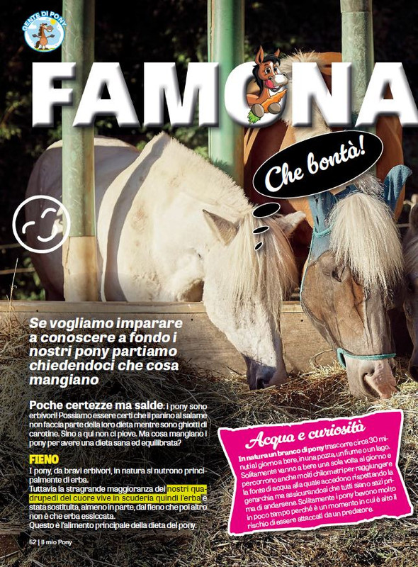 Il Mio Pony (Ott-Nov 2023) 7