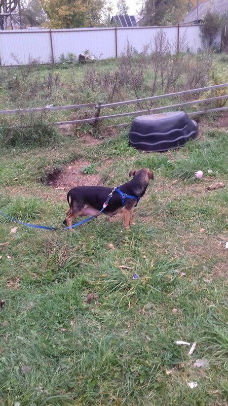 DD3C8133-AEF9-46ED-BD77-136F42CF847F