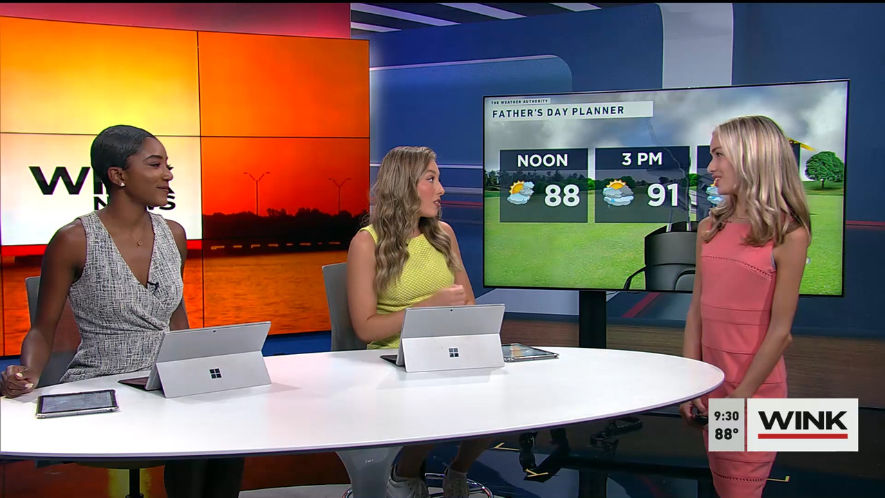 06.17 - 14.00.00 - WINK News at 9 00AM. Morning news..ts_snapshot_28.51.097