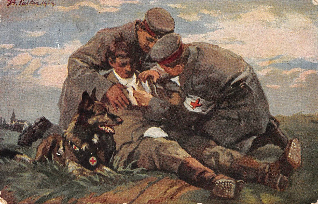 Раненый беречь. Собаки в Великой Отечественной войне. Животные в войне в живописи. Картины о войне. Собаки санитары на войне 1941-1945.