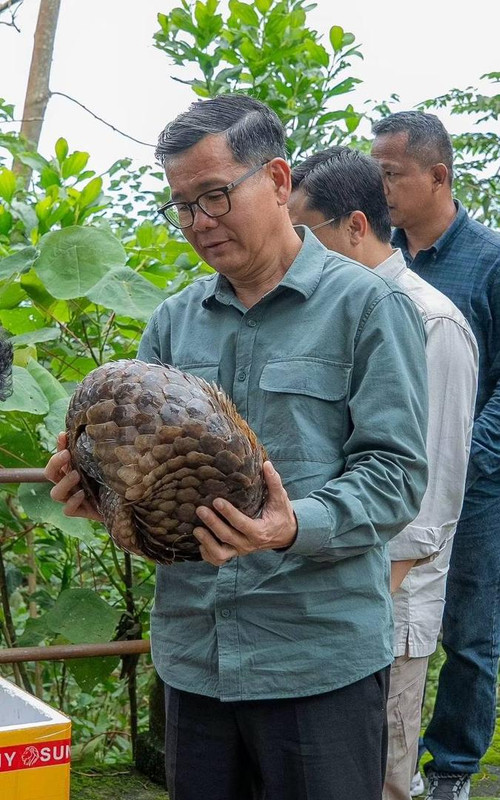 kampot deputy governor releases two pangolins bokor cambodia news 2026 4564565