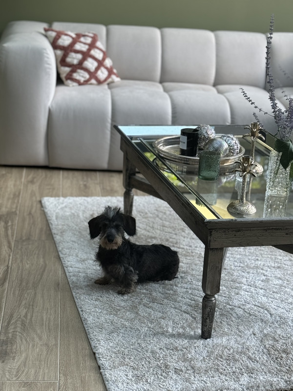 [Image: IMG-5797.jpg]