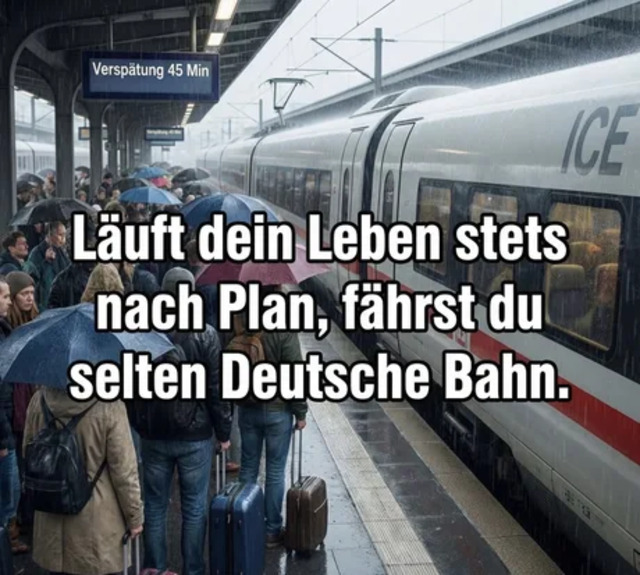 picdump-kw49-2025-049.jpg