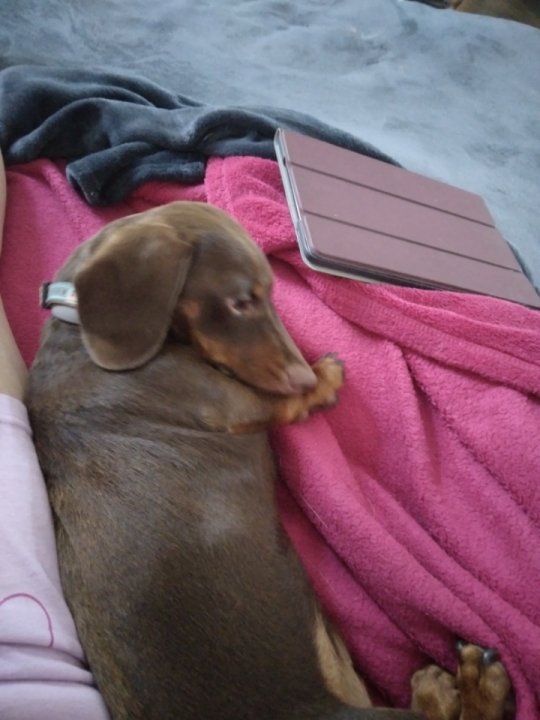 [Image: Resized-20220726-195123.jpg]