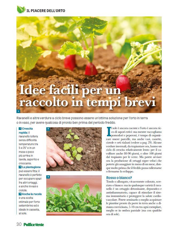 Pol Ver Set 2025 (5)