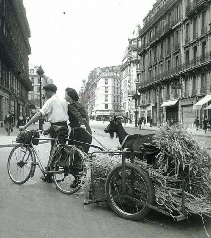 3958954E-5A52-4140-B95E-517C9A3F1FB3