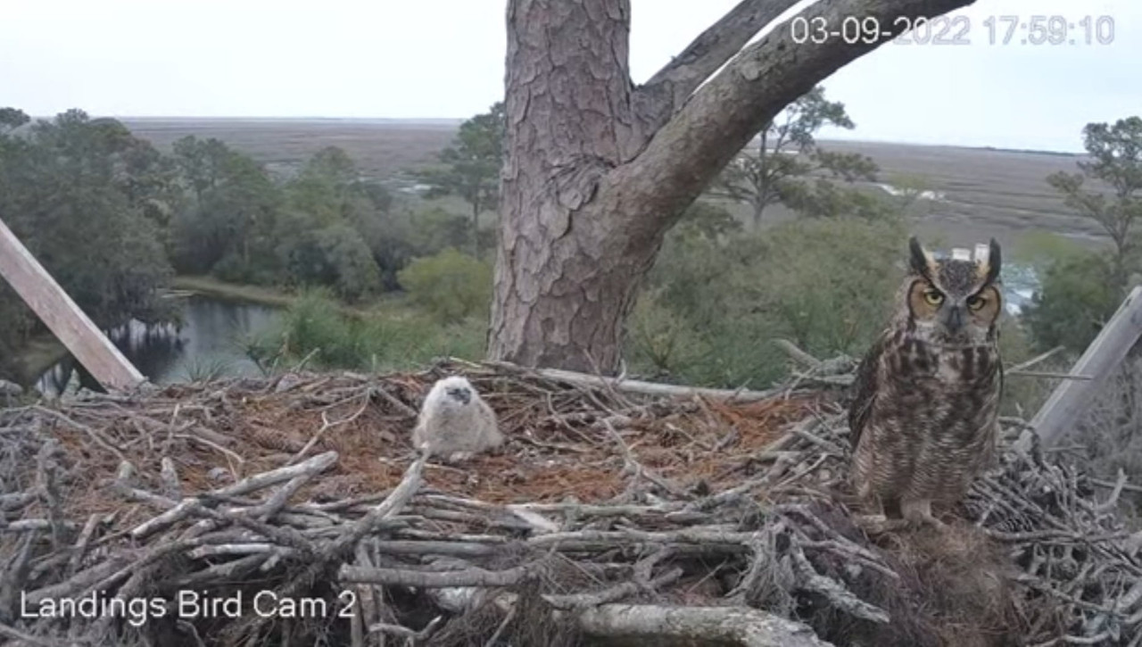 WhatsApp Image 2022-03-10 at 7.58.09 PM (1)