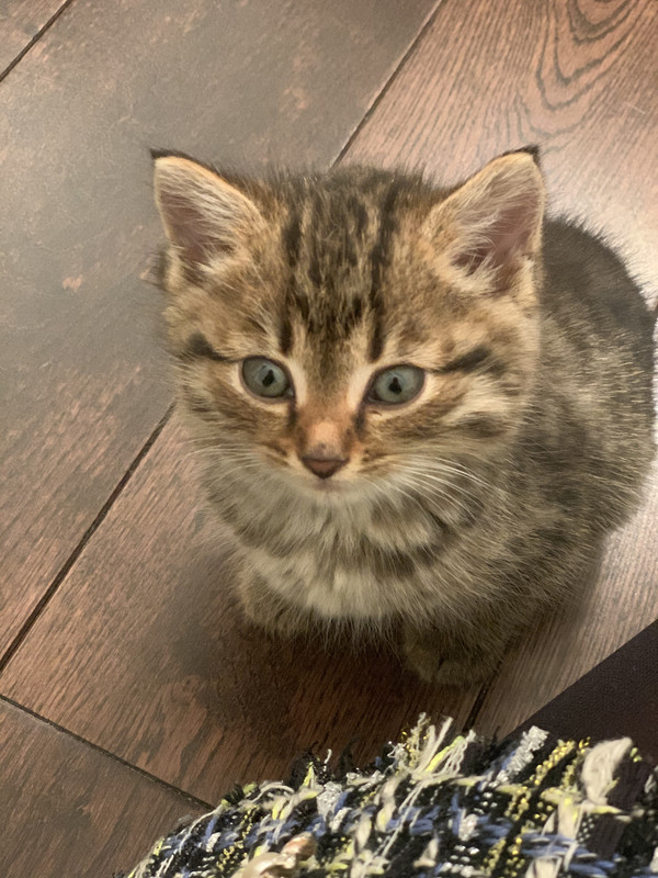 5F770D81-2BCA-46DC-AE61-10041B1C43F8