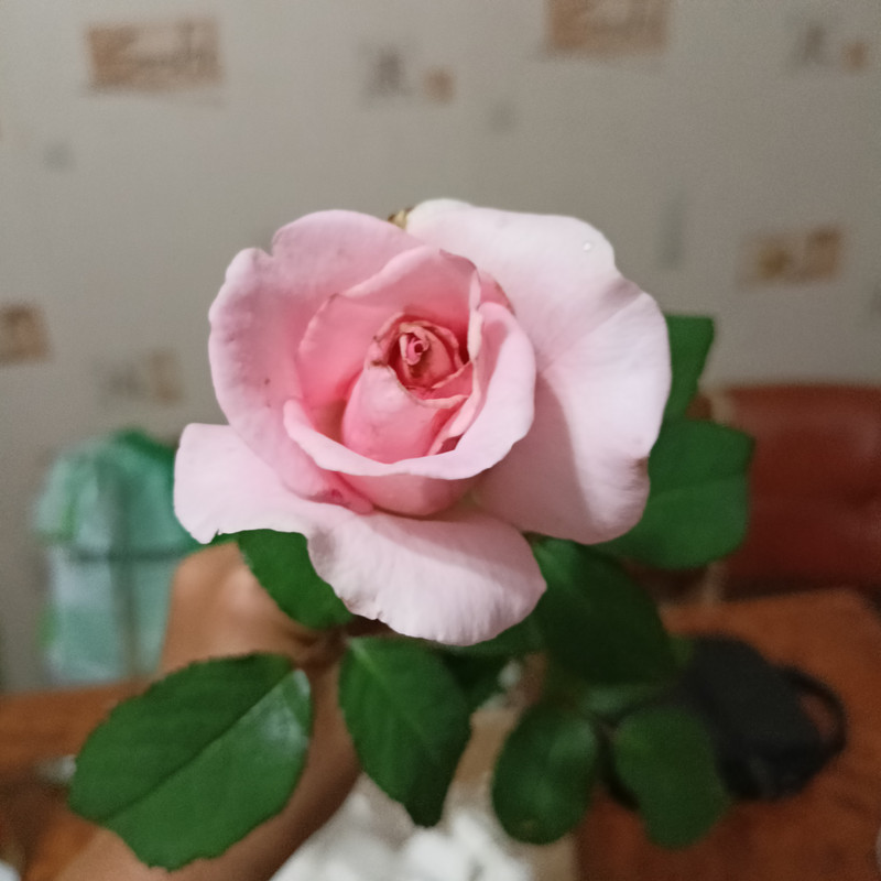 IMG20230702211804 — Postimages