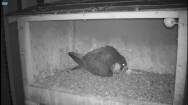 capture_10062018_151504