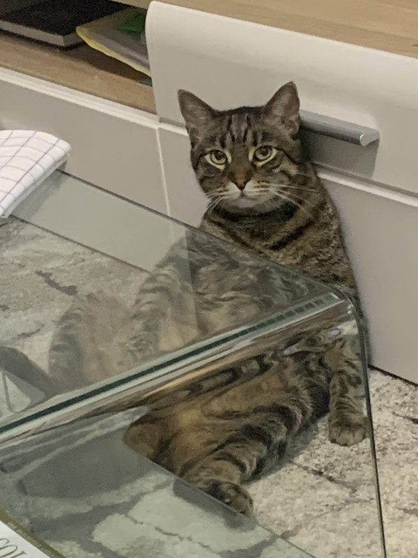 92E6384C-7DE0-4866-97FD-706D65337EDB