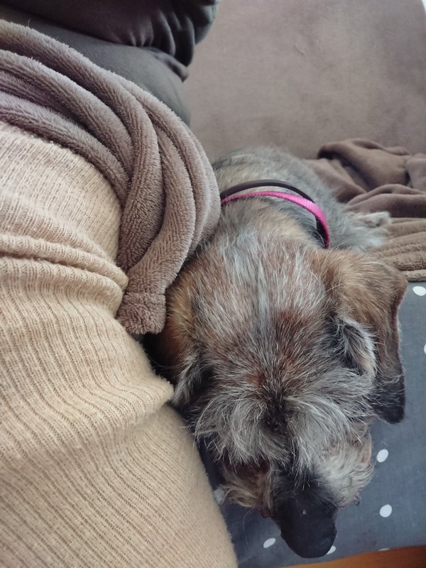 [Image: DSC-2681.jpg]