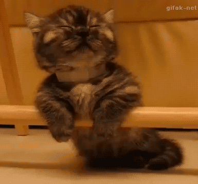 IMG-1108.gif