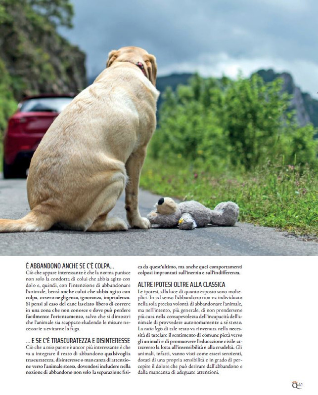 QuattroZampe Set 2021 (2)