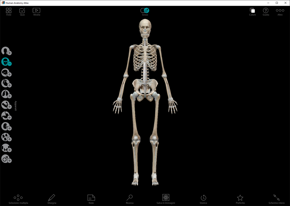 Visible Body Human Anatomy Atlas v7.4.0.1 Untitled