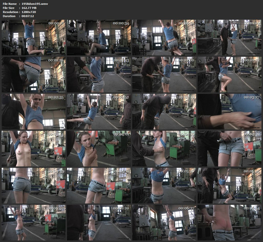 195Bdsm195.wmv