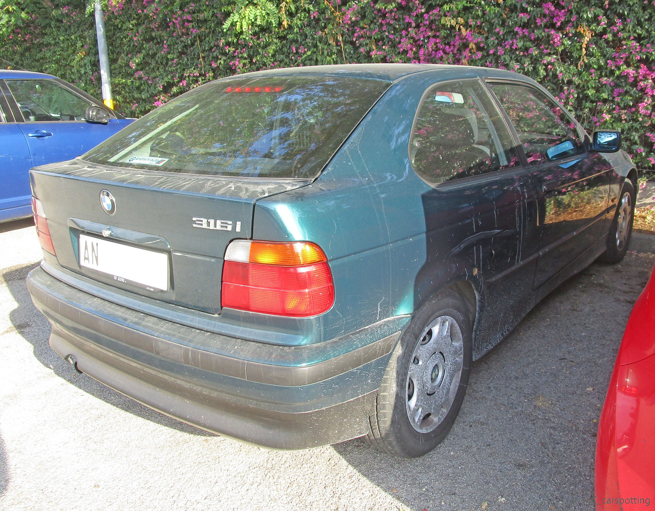 IMG-8555.jpg