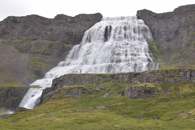 DIA 11 JULIO/22 DESTINO LATRABJARG A VER FRAILECILLOS - Islandia, 17 días..."sin sus noches" Julio 2022 (3)