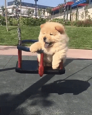 67af2c7bd7d1e645348b018b59de1890.gif