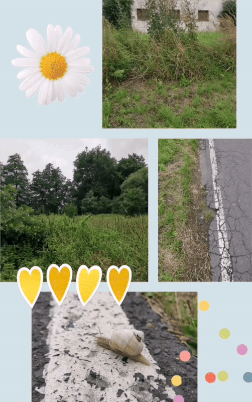 [Obrazek: aabbbcc.gif]