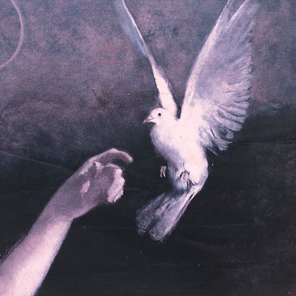 birdcore1