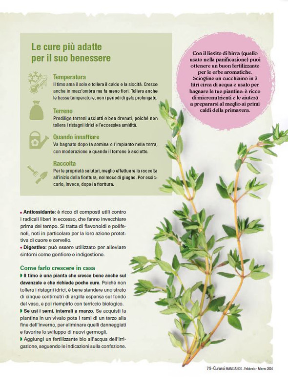 Cur Mang Feb-Mar 2024 (10)