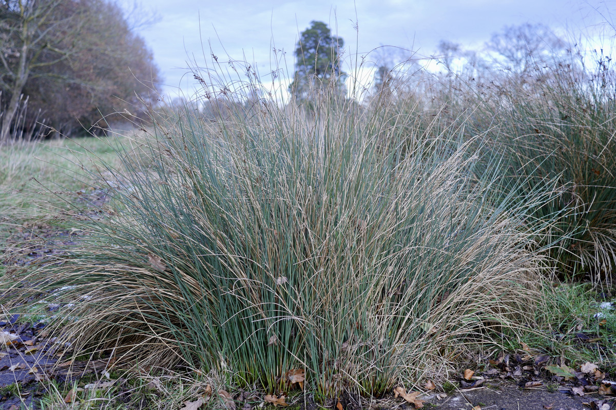 E6909B10-9479-4C86-86E2-728A0557F34C