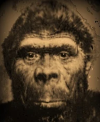 The Sykesville Monster