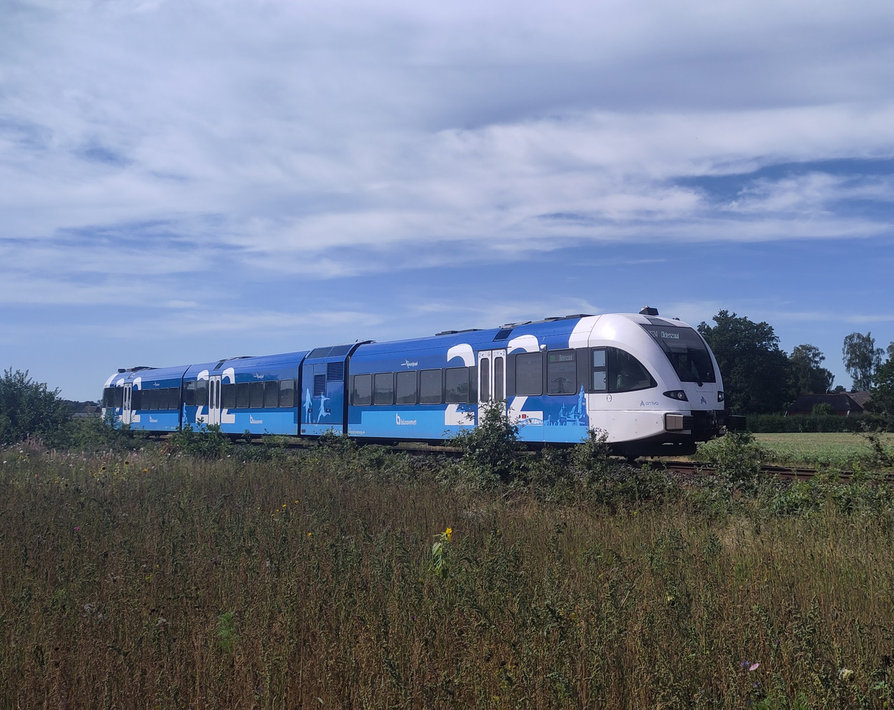 Trein op enkelspoor