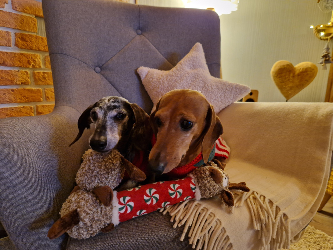 [Image: 20241221-162822.jpg]