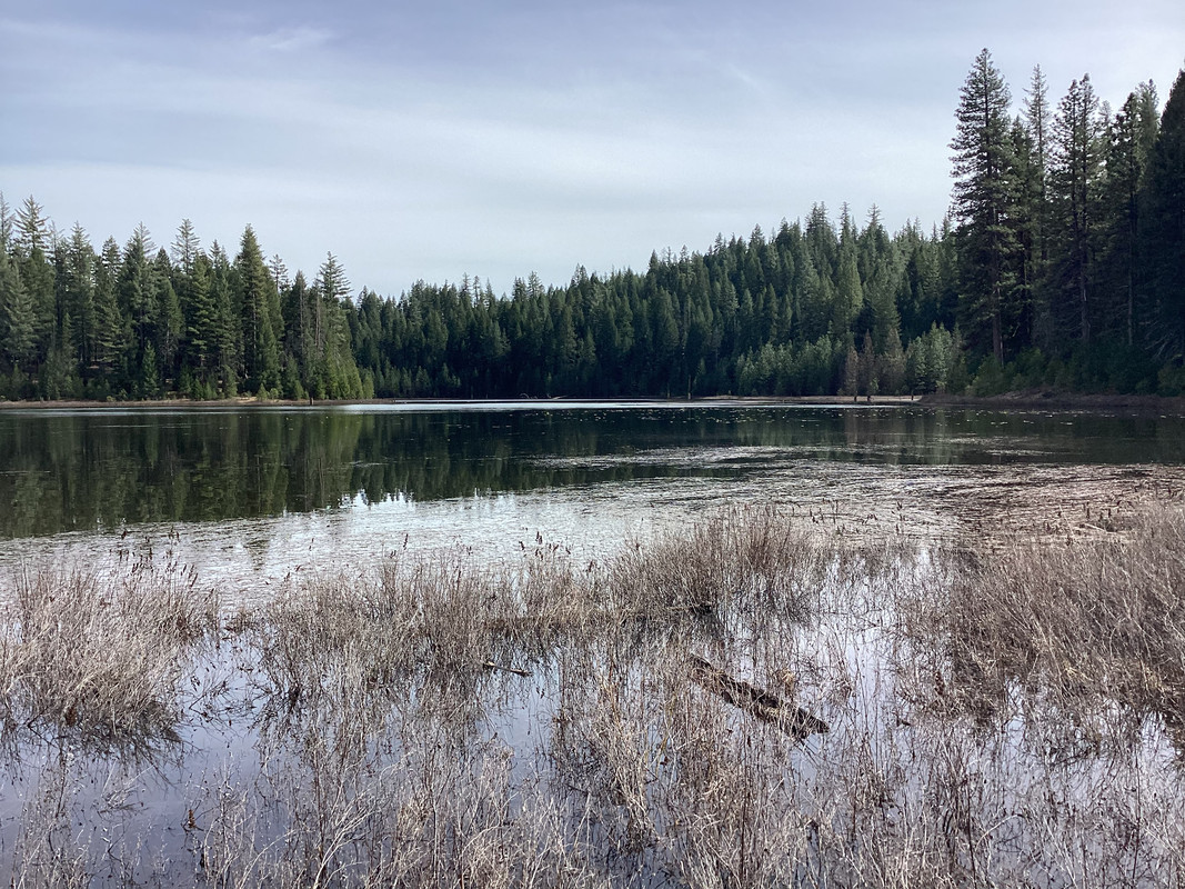 C0B80C55-310D-4046-8B91-1339E0E96968