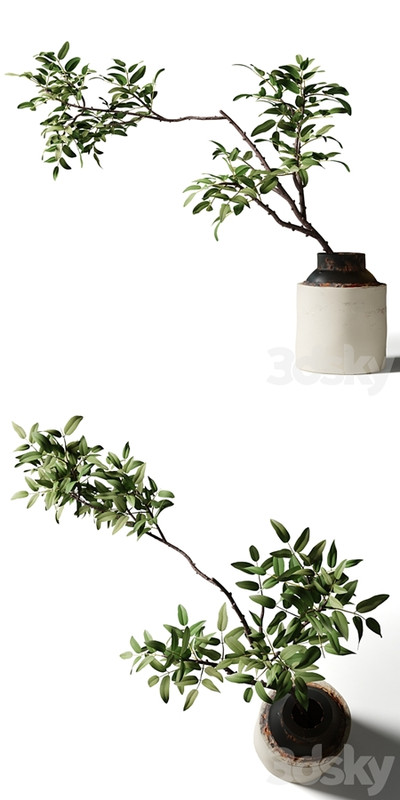 Branch with green leaves in an old metal vase