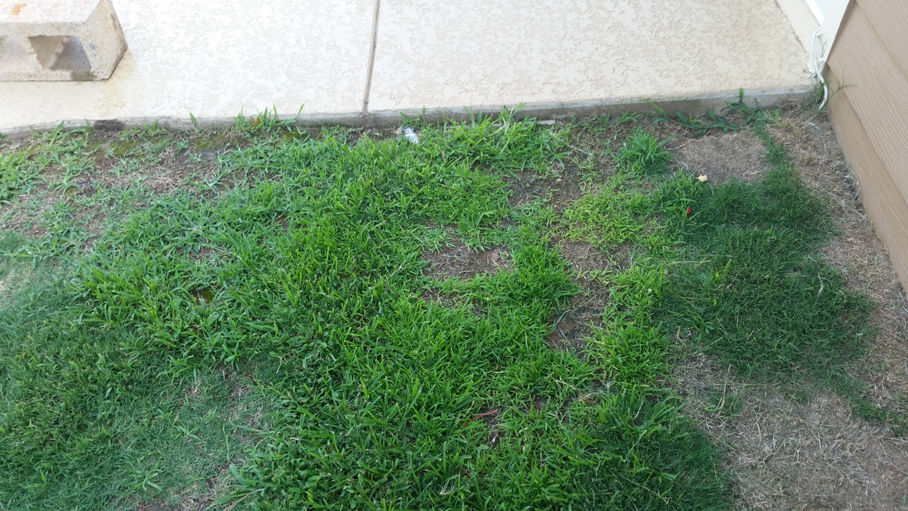 20180612_190821_1529632199005