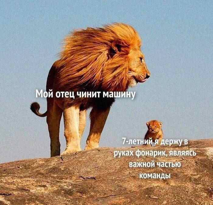 [Изображение: 5d8115396f0bc03de3e4a809d712583f.jpg]