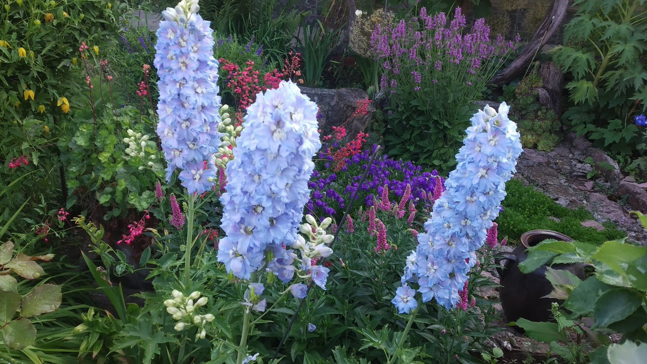 IMG 20260624 092346