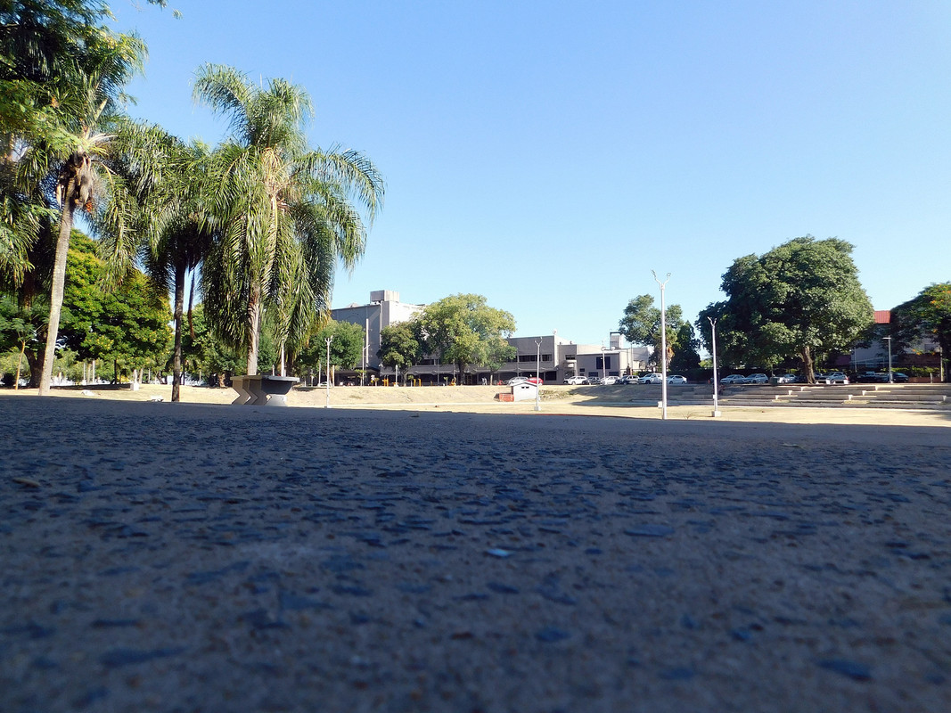 DSCN0604.jpg