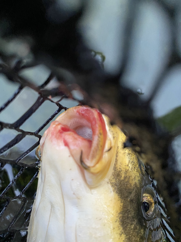 12F6A0A3-2AAF-45FC-B13B-50AC56181177