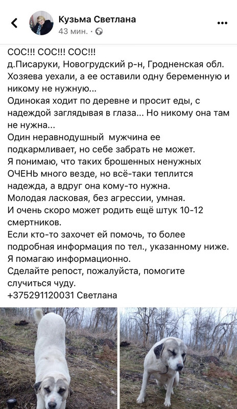 FB6DC9B0-C0C8-4699-A981-EA6DF88FC0A5