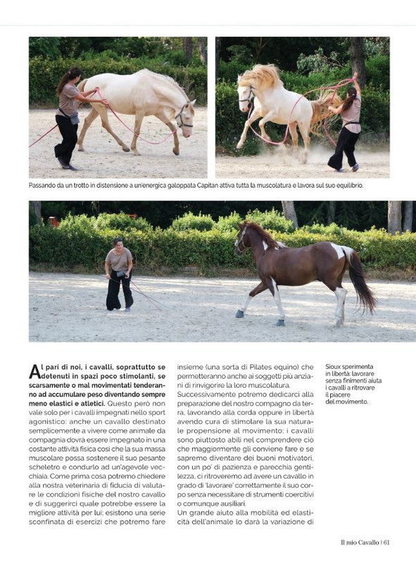 Il Mio Cav (Set 2021) 12