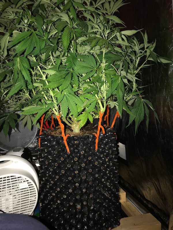 48319A5E-94B9-43BC-90B9-F91BABB6D95E