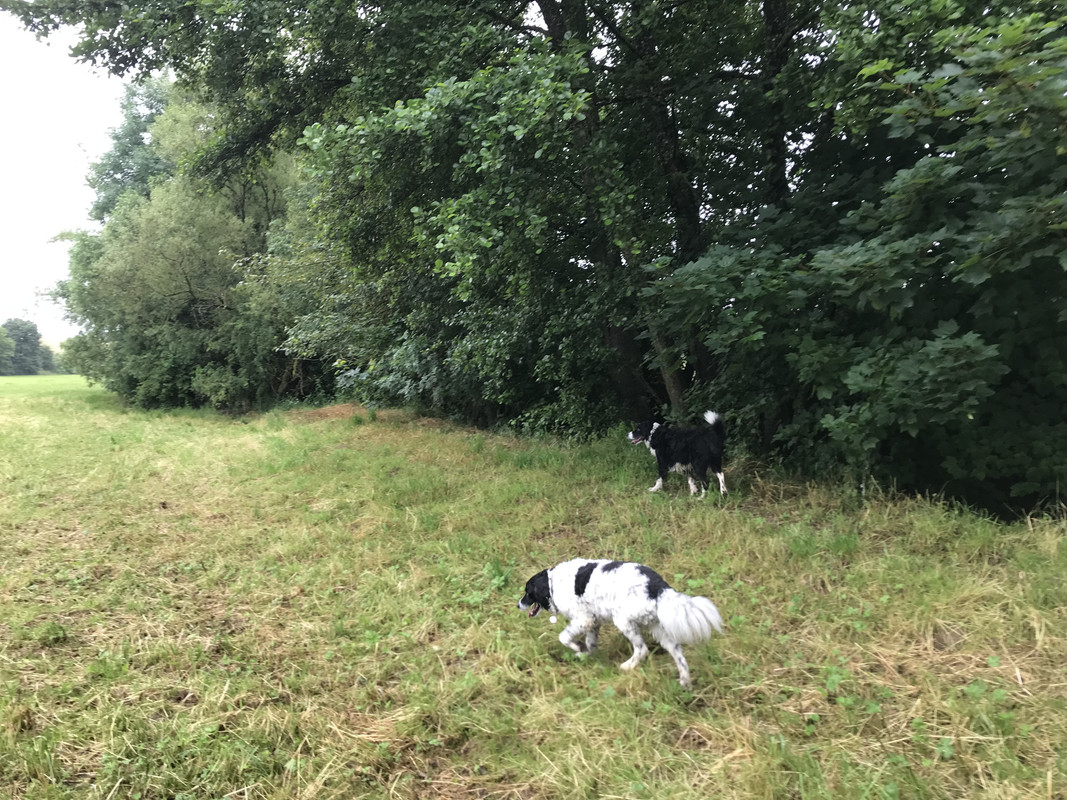 D656E6C5-F5D6-45B3-A219-48D1AA8C61D6