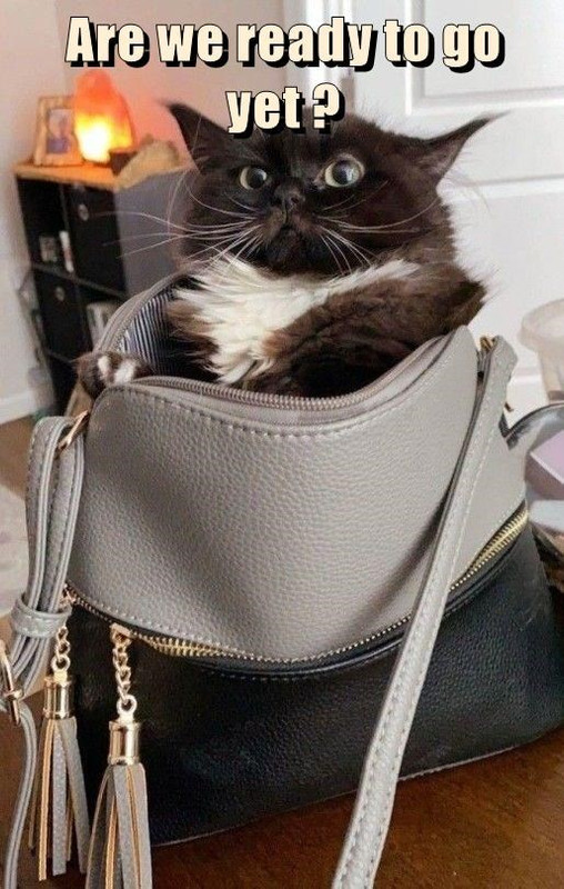 are-we-ready-to-go-yet